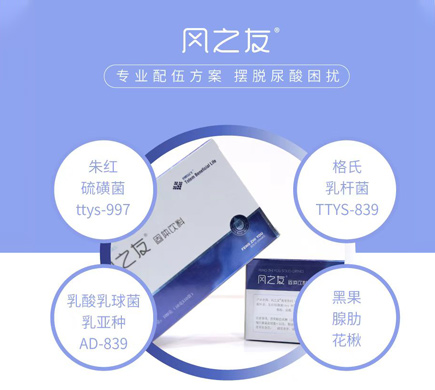 图腾益生风之友专家为您诠释：痛风的症状几种表现形式