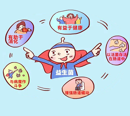 重塑肠道微生态：如何利用益生菌做增补剂？