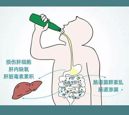 肝脏不好的表现你有吗？肠道健康竟是呵护肝脏的关键！
