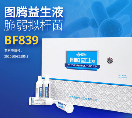 图腾益生液脆弱拟杆菌BF839（经典款）