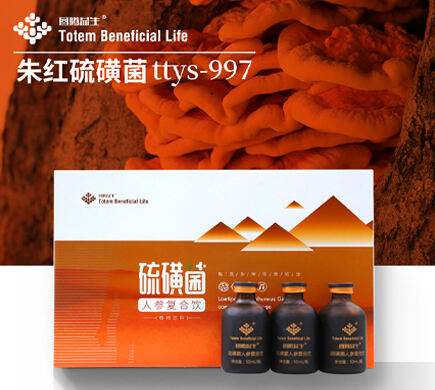 朱红硫磺菌TTYS-997硫磺菌复合人参饮