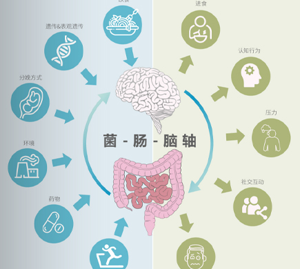 肺癌患者早期十大症状你了解吗？图腾益生肿瘤专家指出治疗出现毒副作用怎么办？