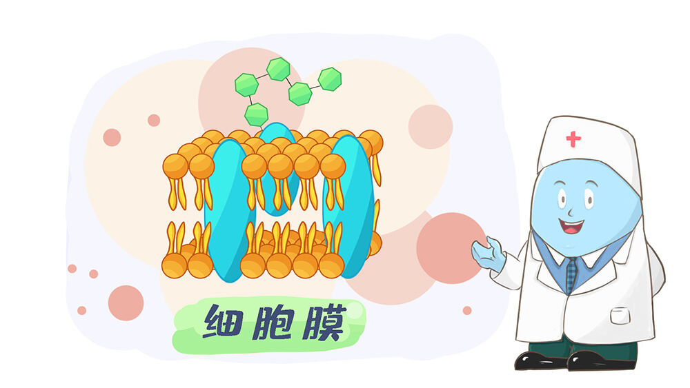 乳腺癌化疗期间吃什么好？图腾益生指出脆弱拟杆菌BF839如何干预乳腺癌？
