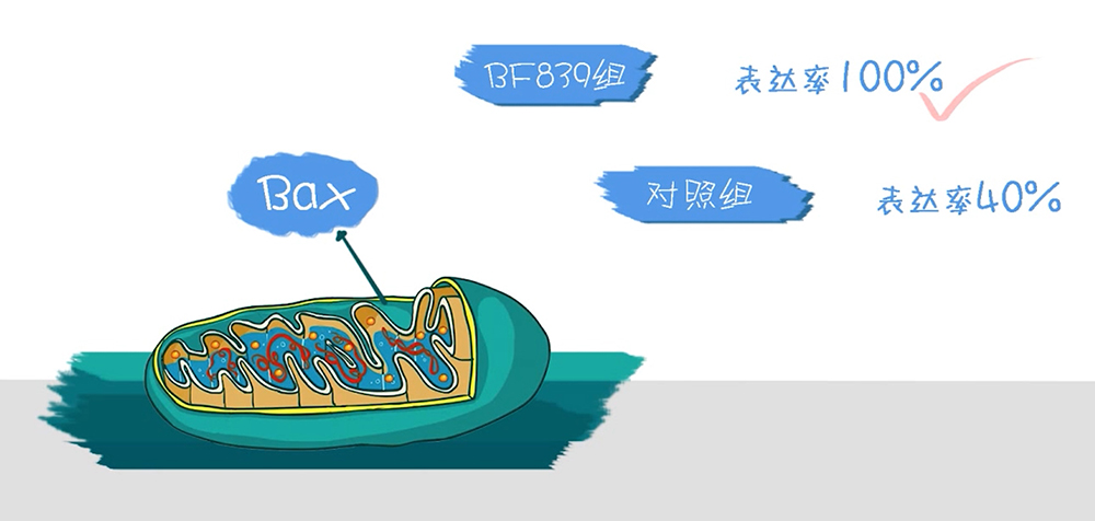 图腾益生肿瘤专家详细来聊聊乳腺癌患者手术前后及化疗期间该怎么吃？