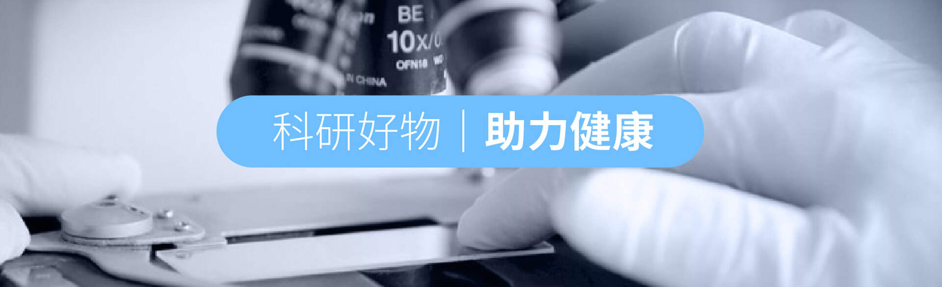 图腾汇