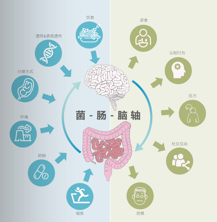 如何预防鼻咽癌？关键在于调节肠道，这些知识你知道吗？