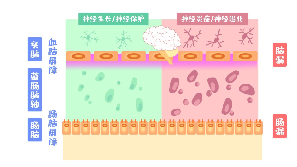 港星张明达因鼻咽癌暴瘦30斤！鼻咽癌常见的治疗误区有哪几点？建议收藏！