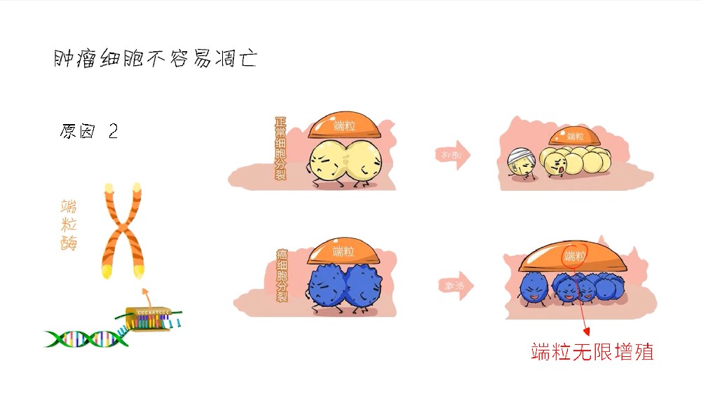 8岁患甲状腺癌，29岁怀孕，历时二十年的抗癌之旅带给我们什么启示？