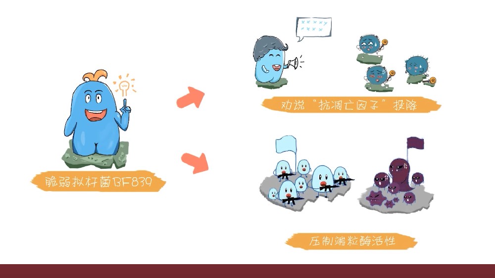 口腔癌患者人数翻了一倍，反复溃疡就是口腔癌吗？图腾益生专家提示这样饮食才健康！
