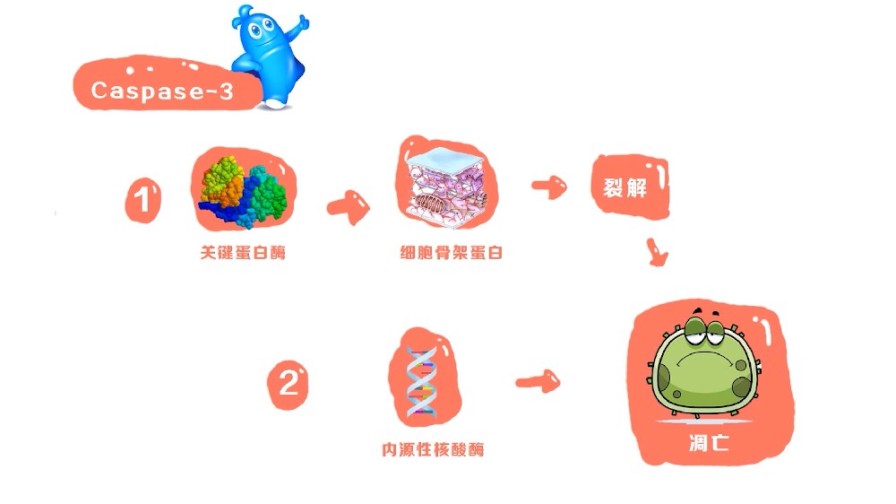 被口腔溃疡痛醒，怀疑是口腔癌怎么办？图腾益生专家教您速看口腔癌一分钟自查！