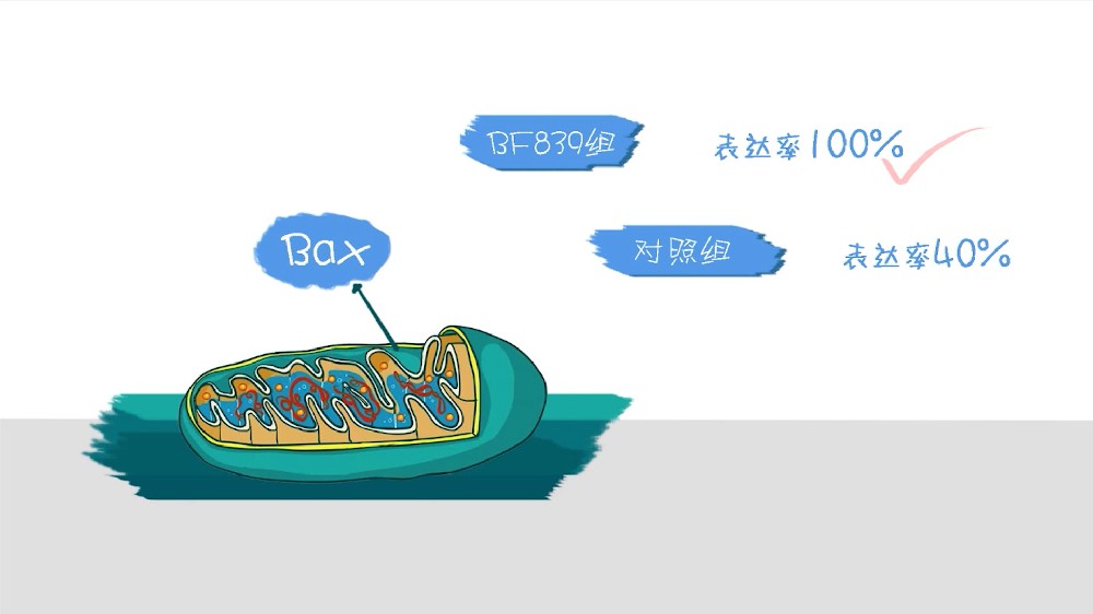 新发肾癌人数超27万！什么是肾癌的三联征？图腾益生专家提示：提高治疗效果还需配合这点！