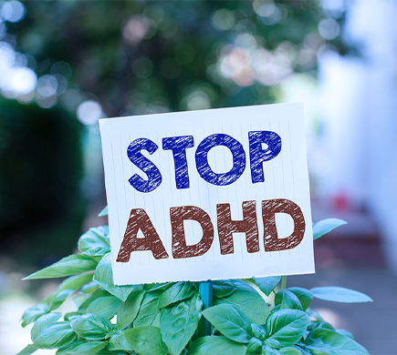 图腾益生贝悦思专家诠释多动症ADHD儿童的孕育方法
