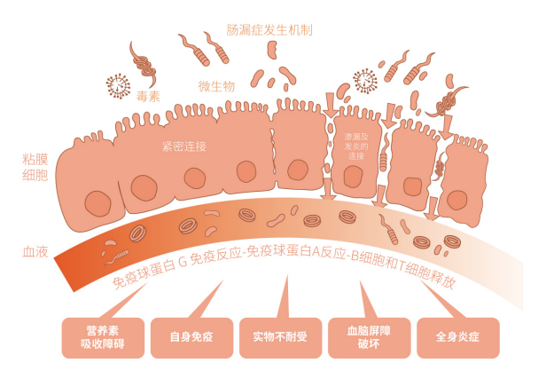 大连理工大学化工学院25岁研究生因毕业问题而自杀，压力真的有这么可怕吗？