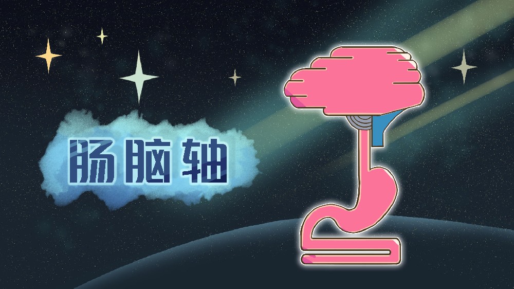如何改善自闭症并发症状？大脑听从于肠道？